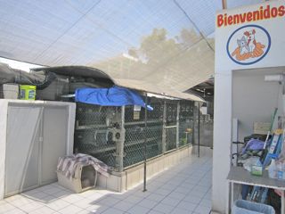 IMG_3670