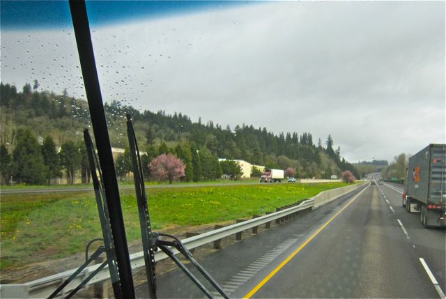 IMG_4245