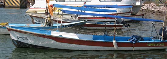 Pangas