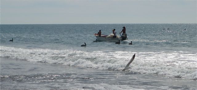 IMG_1661