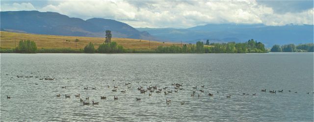 IMG_5162