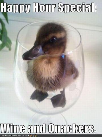 359px-Funny-pictures-happy-hour-special-wine-and-quackers