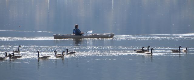 IMG_1920