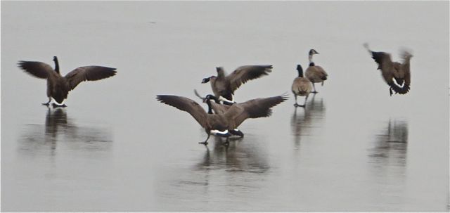 IMG_2157