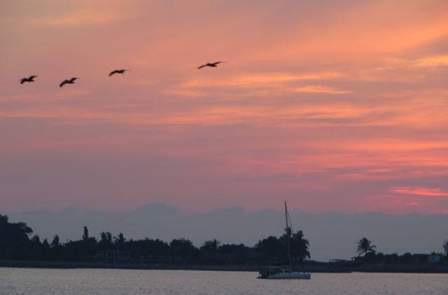 IMG_2422