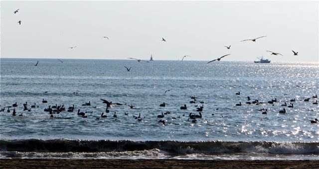 IMG_2426