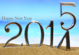 xHappy-new-year-2015.jpg.pagespeed.ic.td3EHY87jb