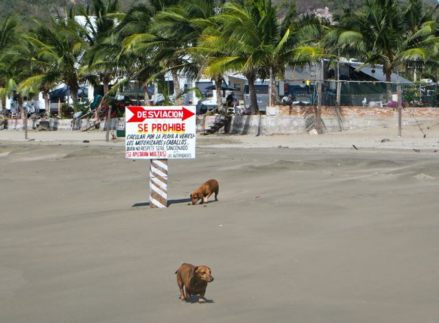 The girls and I started Saturday off with a relaxed beach walk.