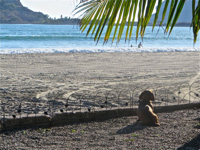 Caeli just enjoying the view. I know the girls are so going to miss this place and the freedom the have.