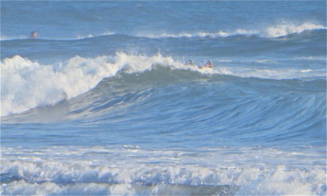 I read about it on Rae's blog and heard about it today from someone but the earth's rotation coupled with the ocean currents align to create these waves. We have never been here to see this before. I am certain is has to do with the warmer than normal weather.