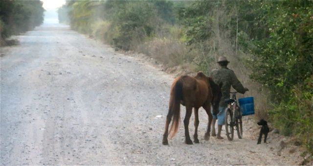 This old fellow was pushing his bike and pulling and even older horse along accompagnied by his faithful dog. We hated to have to make them move to the side of the road.