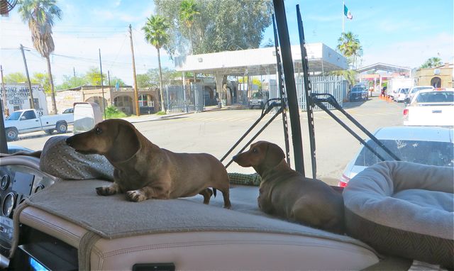 The girls were extremely impatient at the delay in crossing and rather voacl about it. they wanted us to get moving or get out and go fro a wal,