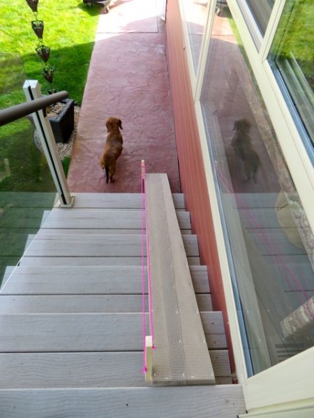 There is a ramp at the front steps and another at the back. Carmeh demonstrates how to ignore the ramp. Fortunately the steps here, unlike the RV, are very close together so it is easier on their backs.