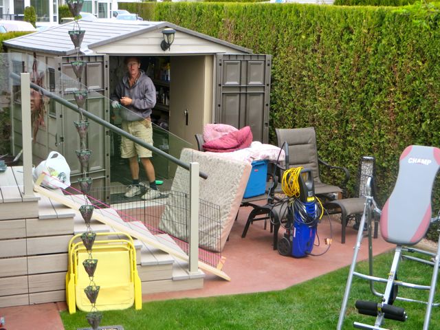 Colin is on a mission. He decided that today was the perfect day to rearrange the shed.