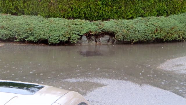 Certainly lots of rain. The drain in front of us could not handle the amount.