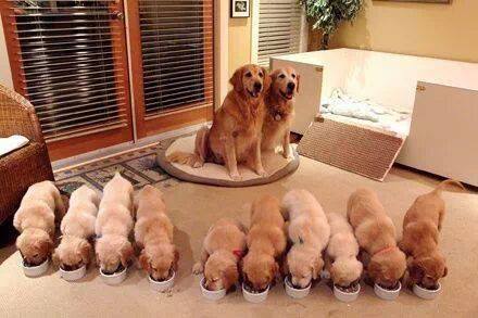 ...and how was your Mother's Day?