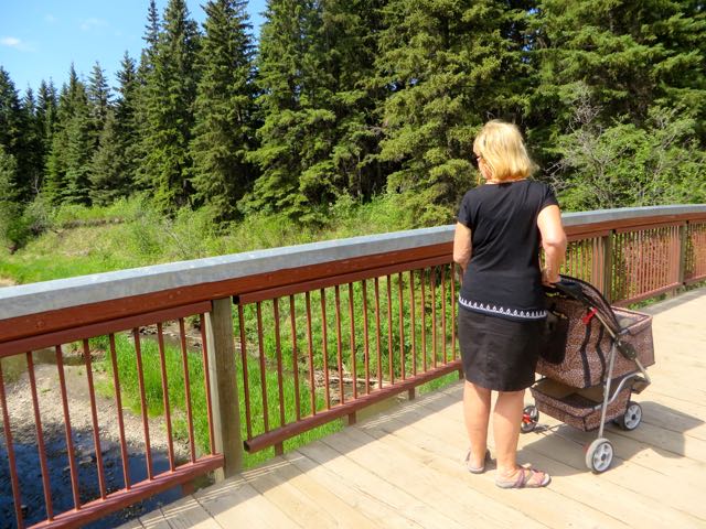Once we set up we took the girls for a walk.