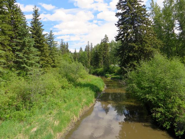 It overlooks Whitemud Creek and is used by many hikers and joggers. No bikes allowed.