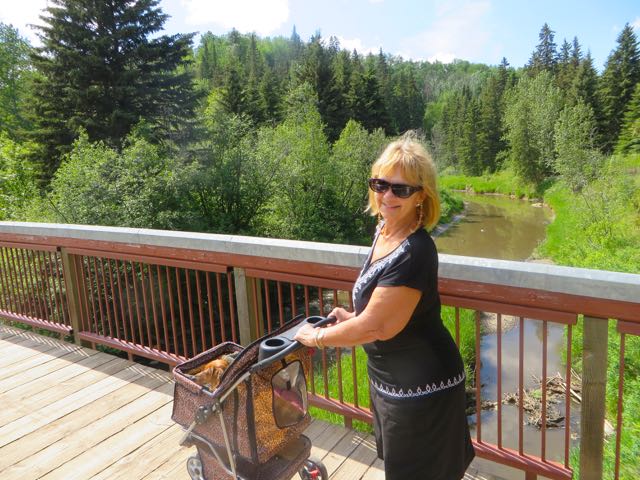 The sun was shining and we were happy campers. It was warm enough to change into one of my sundresses and just sit out with a book. The clousd came in after and hour but those 60 minutes to me were precious.