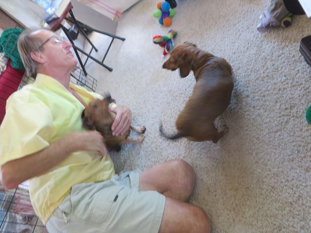 Carmeh is getting too frisky. Here she and Caeli are wrestling with Colin interveening.