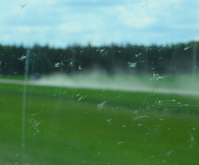It was while sitting in traffic that I realized how buggy our windshield was.
