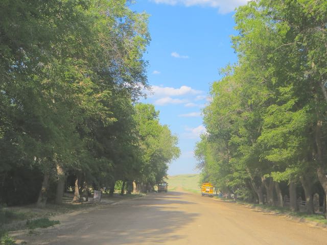 The plan was to park on the road in front of Rae's property but the branches were low and we were too much on the road for Colin's comfort despite there being little traffic,