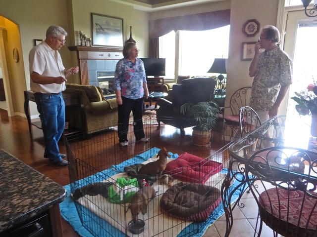 There was no way we could safely leave the girls in the RV because with the slide in we had no space to set up the pen. So into the house they came.