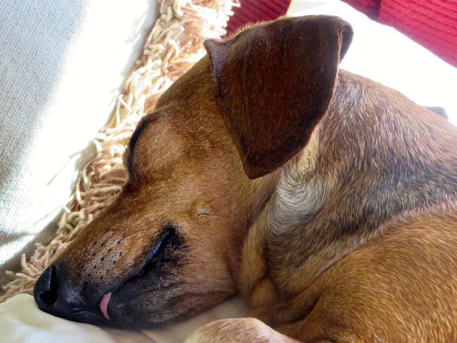 We love her so very very much. This is a difficult time for us.