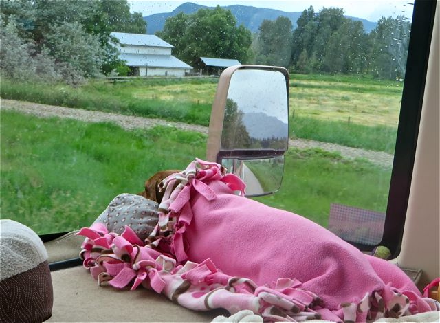 Here she is, about Armstrong, BC, want ing to sint on the dash and just look at everything.
