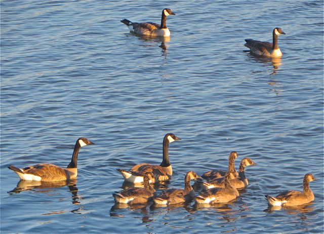 Their extended family was waiting. Thank goodness they all didn't come to visit.