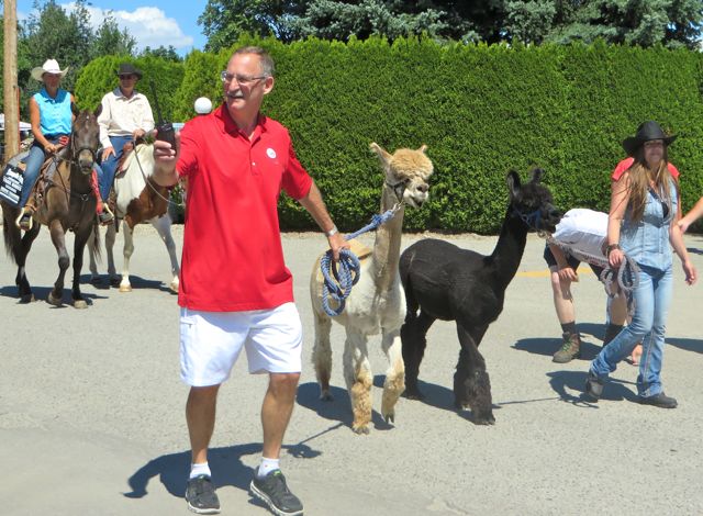 We even had animals.