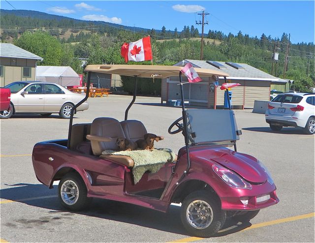 Meanwhile the girls were waiting for us our in Canada Day decorated corvette.