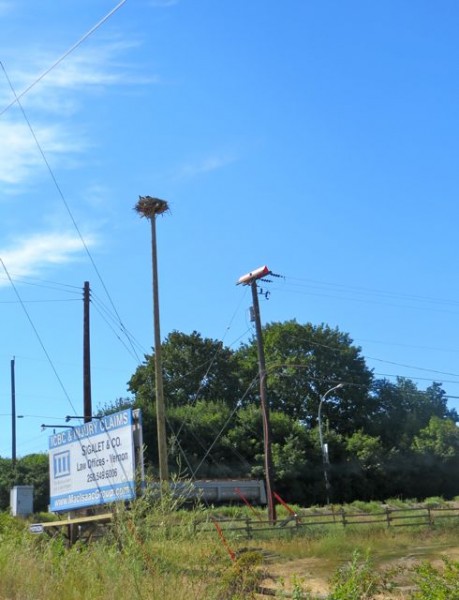 It is actually just a half mile down the road from us, right at the intersection to the highway. Really what kind of photos can you get with an iPhone?