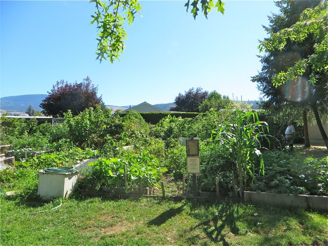 Here at Holiday Park Resort where we reside there are garden plots that you can rent for $10.00 per year. Many do and it is so wonderful to walk past and see walk everyone is growing. I really want to have a veggie garden but obviously over the last 5 years it have been impossible. Maybe next year. The trick is to keeping the various critters out of your garden.