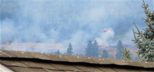 The bronw in the foreground is my neighbors roof, just to show you how close we are.