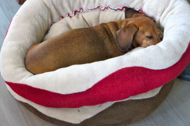 The princess and the pea!
