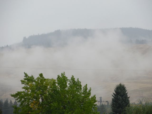 It started to rain rather heavily about 3AM and continued for most of the day. The fog appeared during the short period the rain took a break.