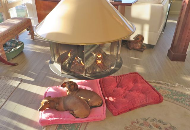 You can see Cinco on the other side of the fireplace in front of the white soda.