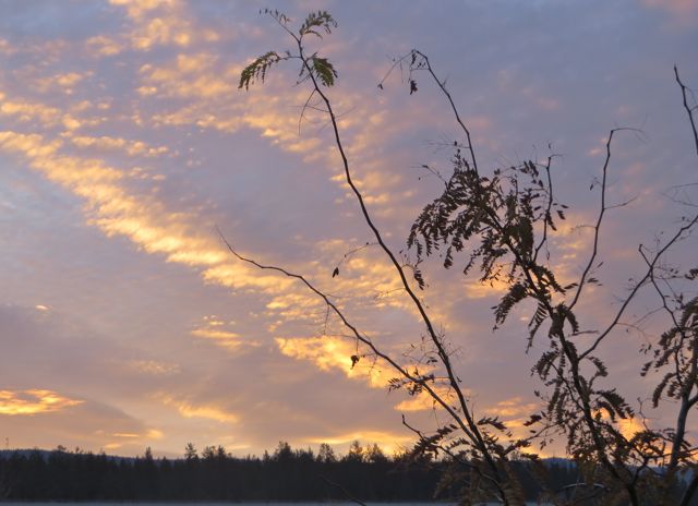 Same sunrise but a tad later.