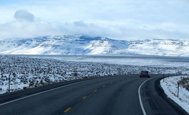 A real winter wonderland.