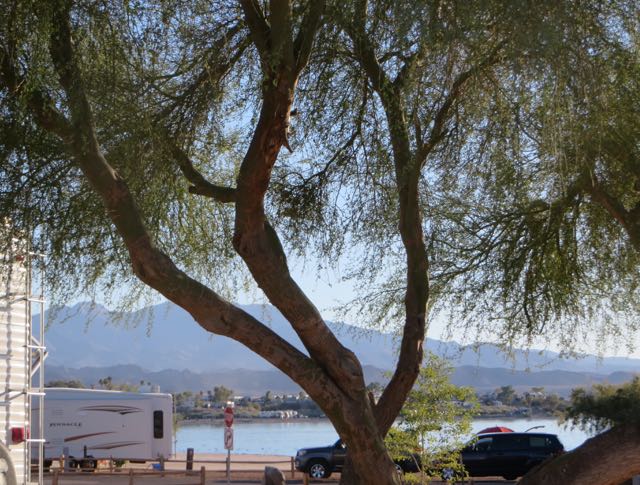 The view from out site which pleases us to no end. Yet you can get much, much better sites for the same price. Of course you have to reserve those sites but it is certainly worth it. We are wiriting down the preferred site numbers for next time.