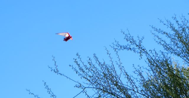 Some loud siteseeing aerial contraption.
