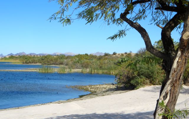 Great trail with a mix of vegetation and lake views.