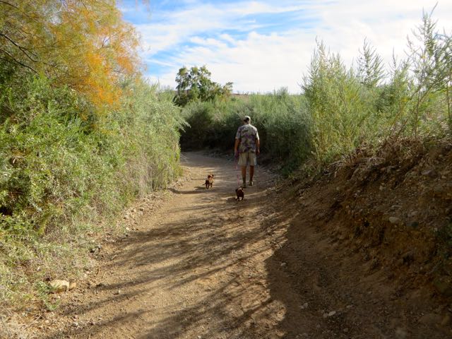 The girls loved it. I was worried about Carmeh but she did very well and did not show any sign of being tired. I think this is the longest walk she has done since mid May. Great for her and us of course. Looking forward to seeing how she will do on the beach on the Isla.