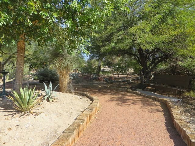 Just off the trail, there is a Xeriscape Garden with dozens of examples of local plants. Lovely area indeed and wheelchair friendly.