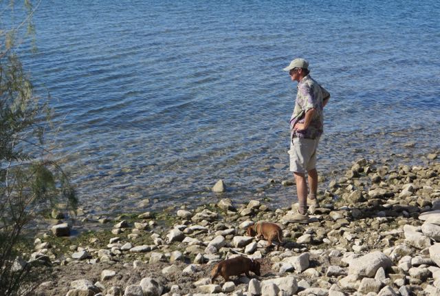 Once we resumed the trail, we came upon a diversion, lake access with dogs allowed.