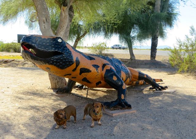 We had some fun on our mid morning walk.