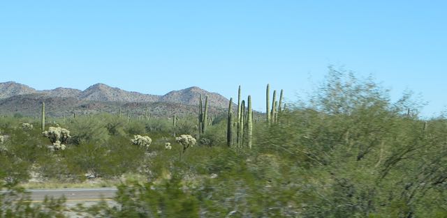By noon we were on I8 heading East, with the specific intention of heading South eventually.