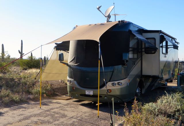 One of the many camp hosts at Picacho Peak, this guy is serious about his shade.
