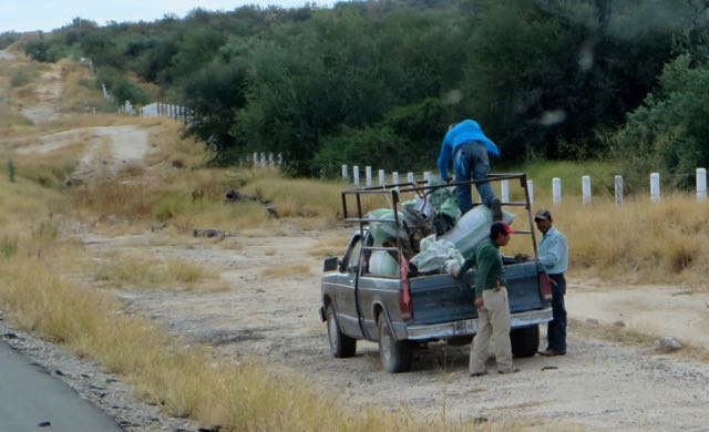 These guys are collecting the seeds off the grasses on the side of the road as well as the median in the photo above. Nothing is wasted here in Mexico.
